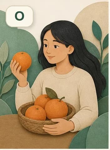 字母O